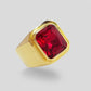 January Garnet Birthstone Ring