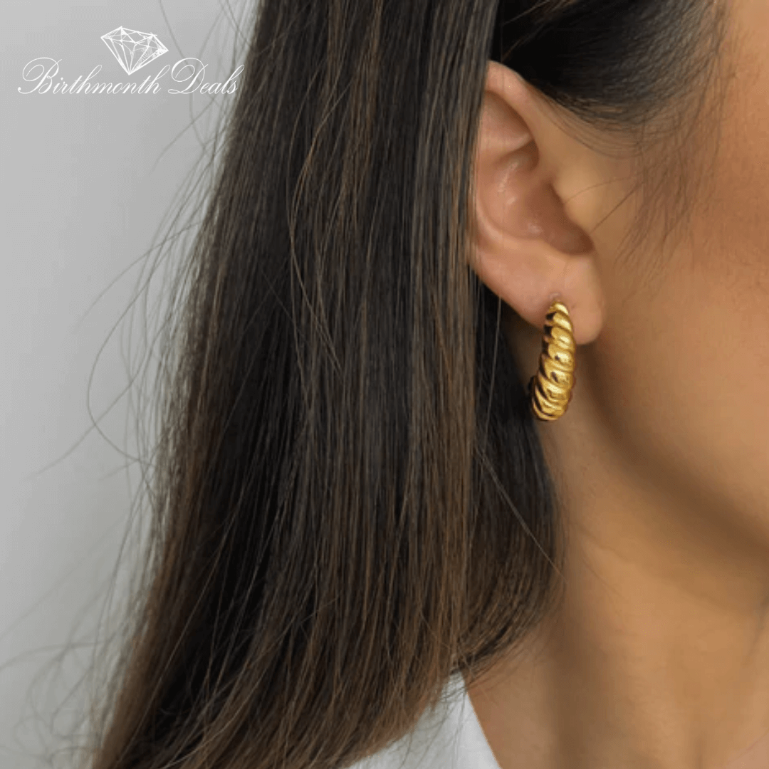 Darlyn Clip-On Hoop Earrings - Birthmonth Deals