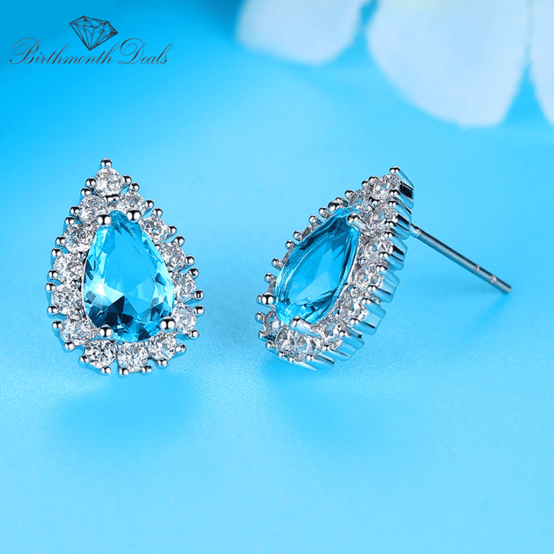 December Zircon Earrings - Birthmonth Deals