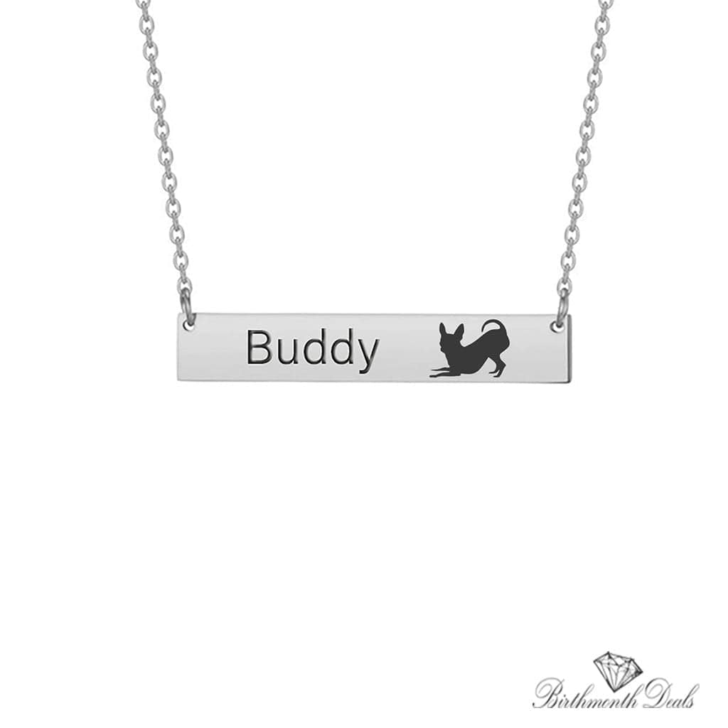 Personalize Pet Necklace - Birthmonth Deals