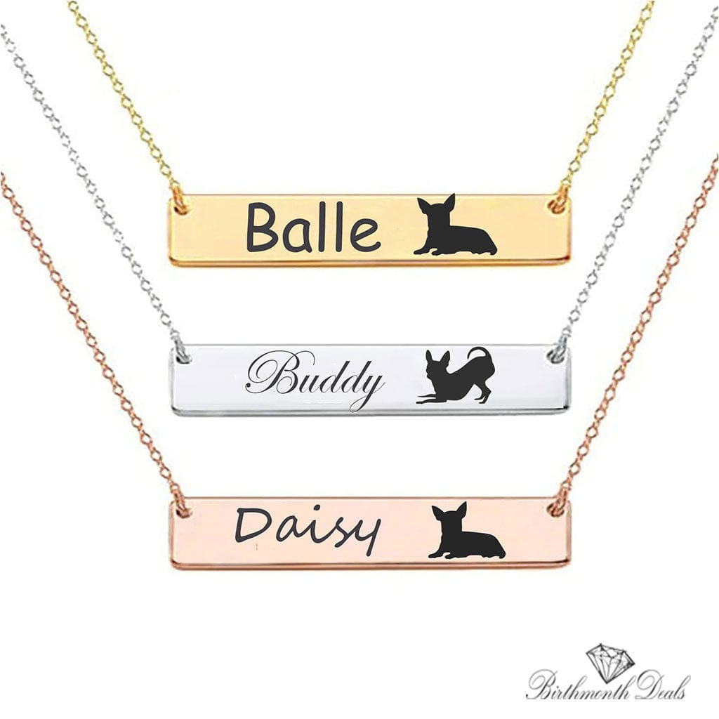 Personalize Pet Necklace - Birthmonth Deals