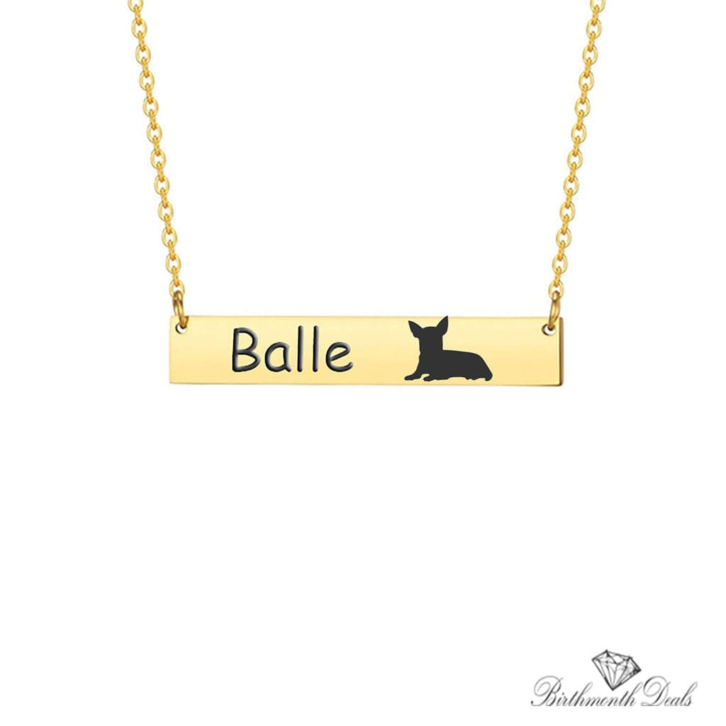 Personalize Pet Necklace - Birthmonth Deals